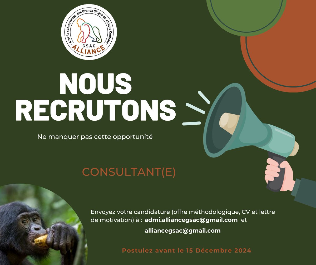🚨 𝗡𝗢𝗨𝗦 𝗥𝗘𝗖𝗥𝗨𝗧𝗢𝗡𝗦 📢

 Alliance GSAC  recherche un(e) consultant(e) pour développer des protocoles de mesure d'impact des initiatives communautaires menées par ses membres. ☘️🦍

➡️ Découvrez l'offre complète :  alliance-gsac.org/wp-content/upl…
