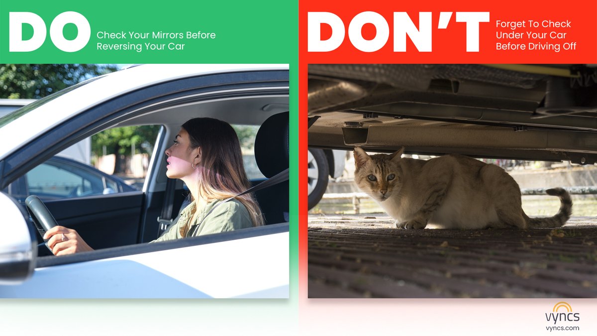 MyVyncs's tweet image. Be a good driver by always checking the mirrors before backing up. Also always check beneath your car to make sure there are no animals seeking shelter there!

For more tips, check out vyncs.com
#Vyncs #VyncsGPSTrackers #VyncsTrackers #VyncsCarTracking