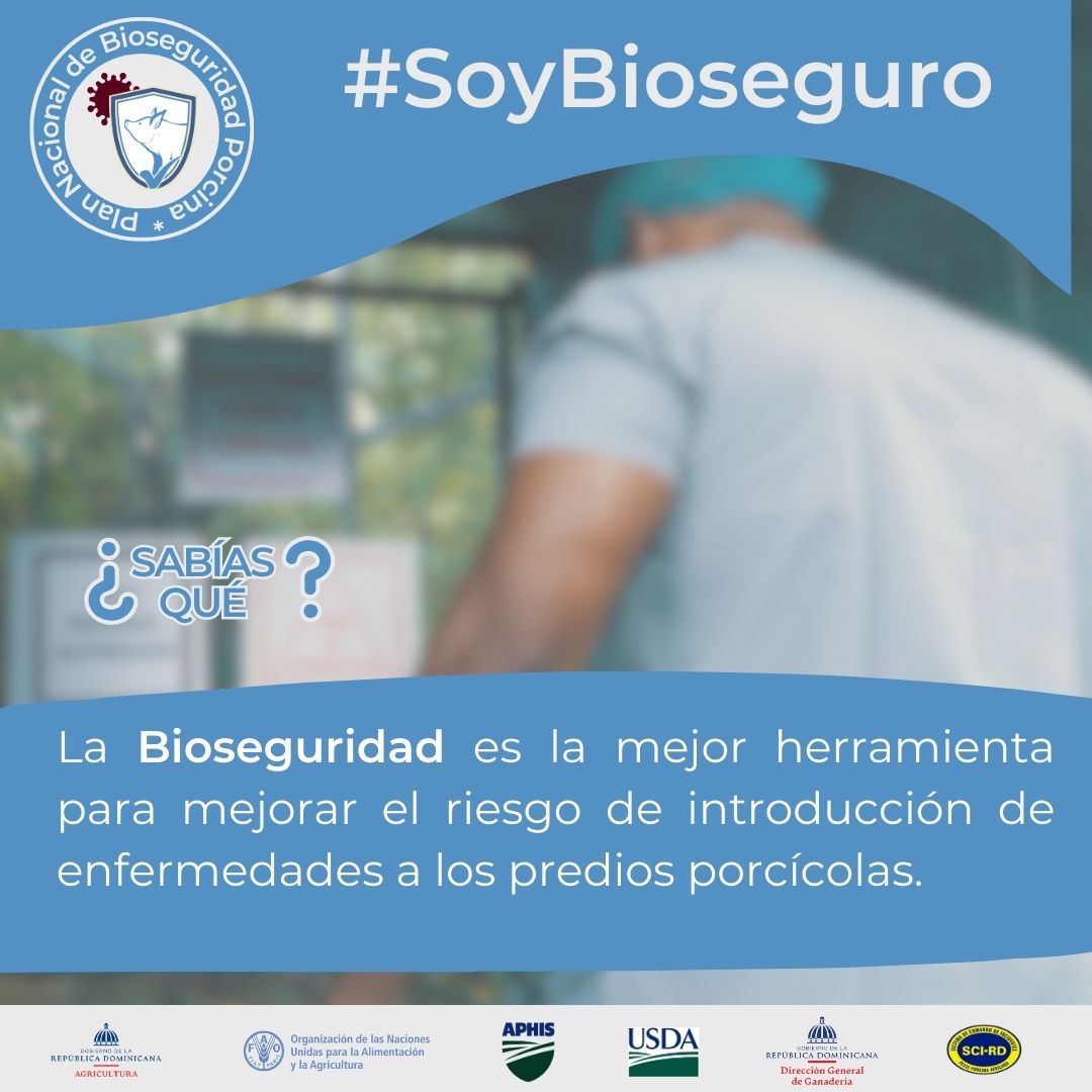 🐖🔒 La bioseguridad porcina protege la producción, la salud animal y nuestro bienestar.

🛡️ Evitar enfermedades en granjas asegura alimentos más seguros y fortalece la economía rural. 💪

@agriculturaRD <a href="/GanaderiaRD/">Dirección General de Ganadería</a> <a href="/FAOAmericas/">FAO Américas</a>
@RcastanedaFAO