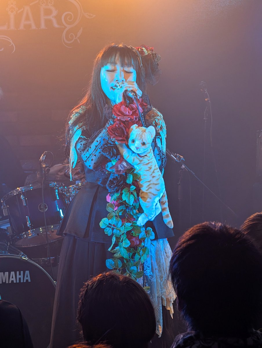 asriel_koko's tweet image. (・ω・*)DAY2のPhoto頂いたのでちょこっと載せます！✨めちゃくちゃ良い写真沢山いただいたので嬉しすぎます👏#MISLIAR
バンドカッコ良すぎじゃないですかこれ･･･（🐈こっち見てる）