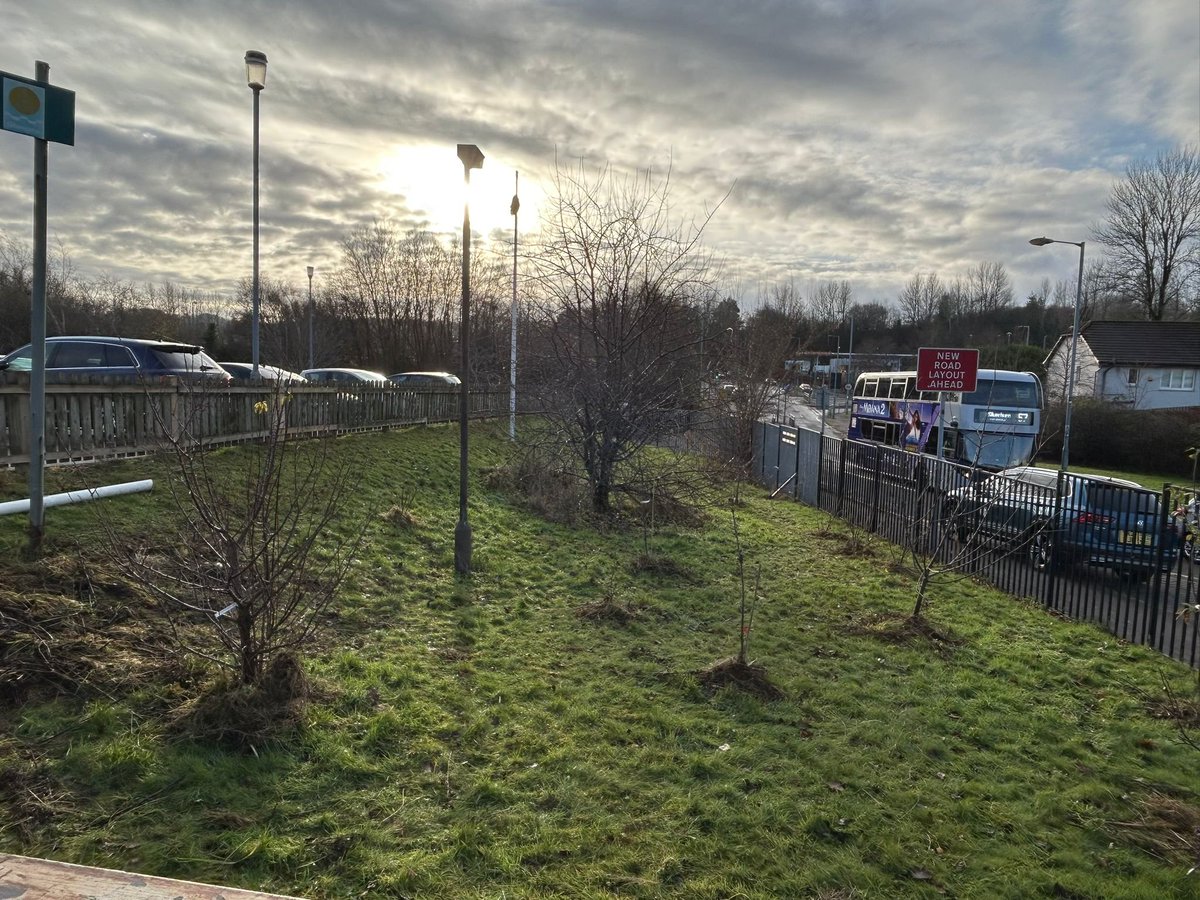 What a productive morning with P3b, P4 &amp; the #StAngelasSALTIRE Steering Group. They all worked really hard clearing the #biodiversity meadow, scattering wildflowers seeds, putting "blankets" around our fruit trees &amp; planting garlic in our raised beds. <a href="/St_Angelas_Pri/">St. Angela's Primary</a>