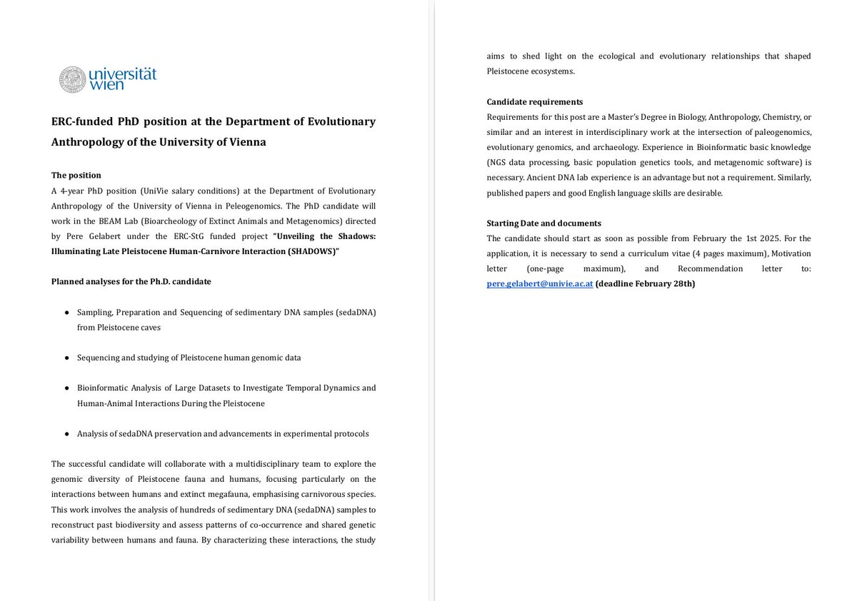 peregx9's tweet image. 2 fully funded 4-years PhD positions at my group at the fantastic Department of Evolutionary Anthropology in Vienna! to start in February 2025 (or as soon as possible). The students will work on ERC SHADOWS project 🦊🐶🐺😀. PhD 1 on sedaDNA, PhD 2 on Megafauna genomics 🦁🐅🪨⚒️
