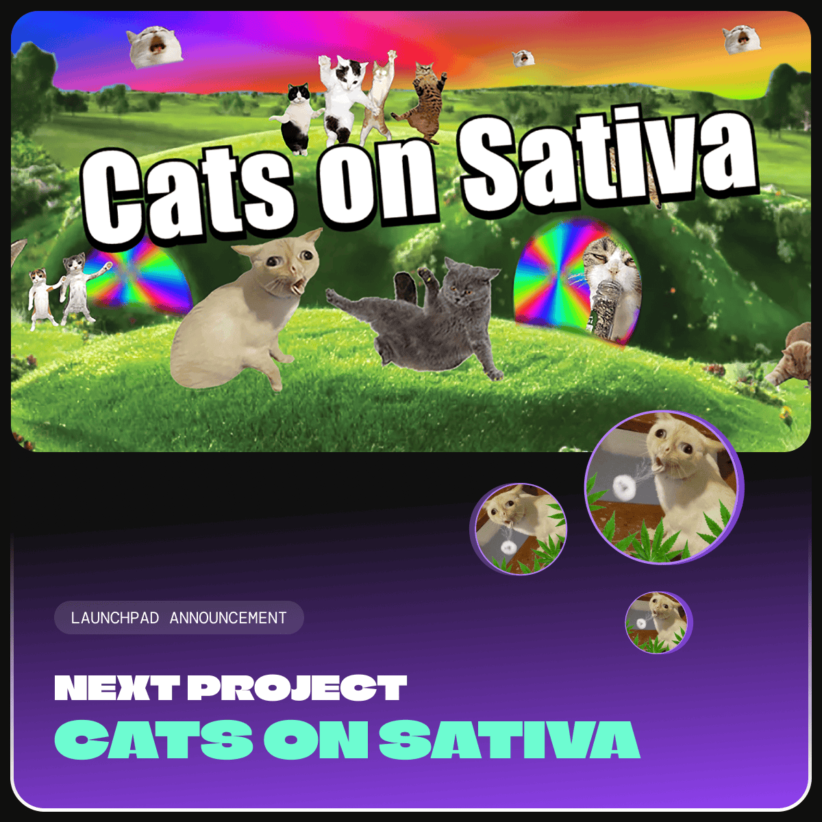 catsolhat's tweet photo. 🚀 Introducing the 4th Project on CatSolHat Memecoin Launchpad: @cativasolana
 
Read more 👇 https://t.co/C9amnpH2UU