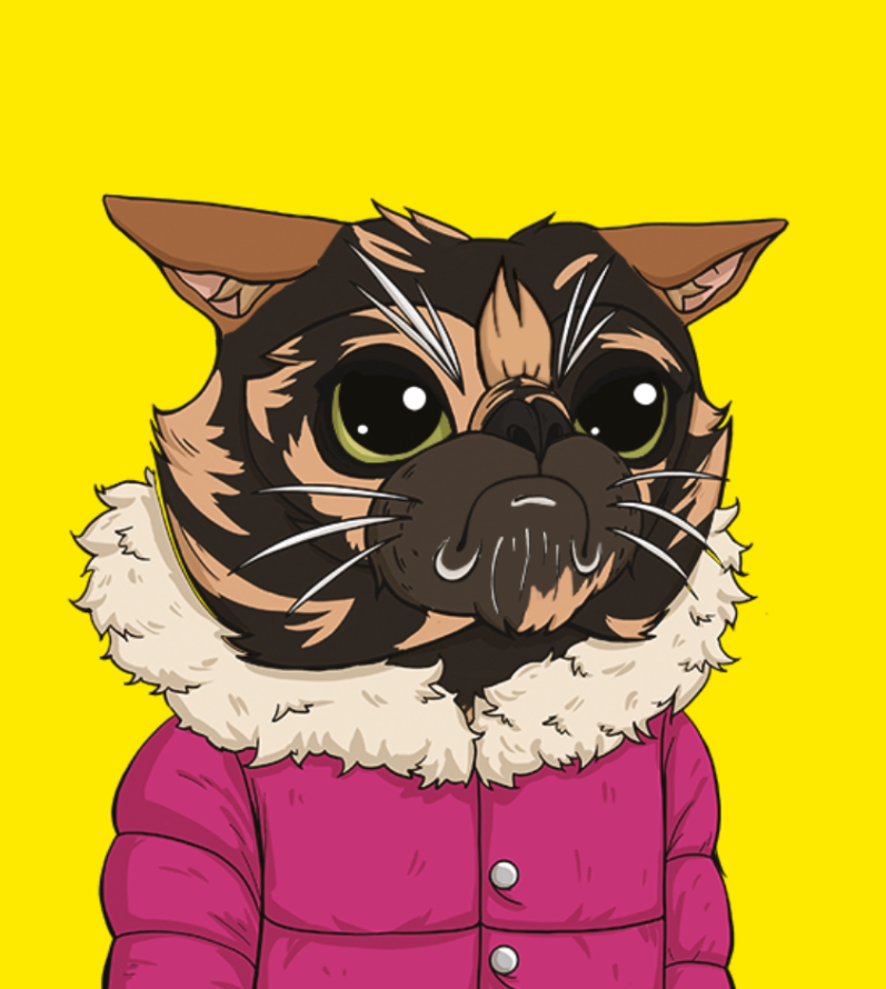 NFTCatClub's tweet photo. 😻 Grumpy Cat Gukesh😻
👇Get yours for free!!
https://t.co/1Mn7x3hKUH
🩷Spread the Grumpy Cats🩷
#giveaway #freemint #freeminting #minting #chess #crypto #bayc #GMGukesh #Fide #chessworldchampionship https://t.co/youPmikfDg