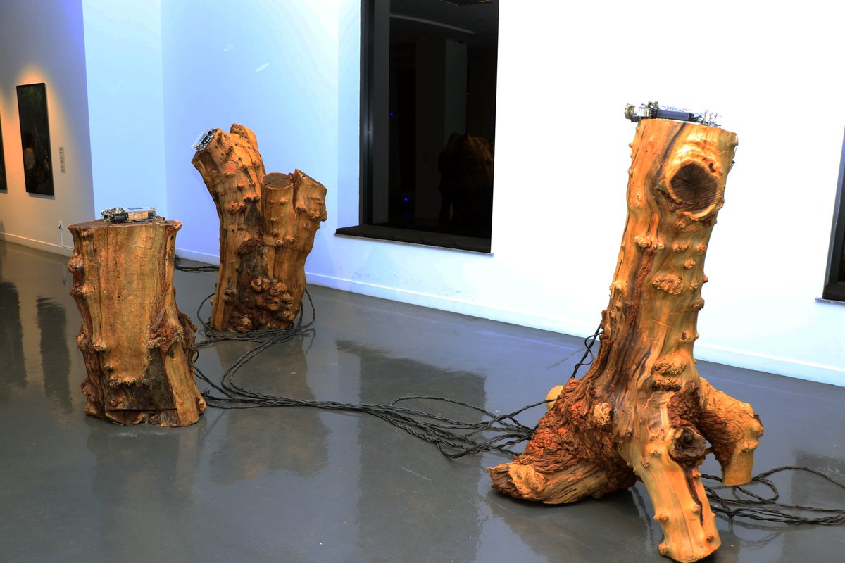 Xalqqazeti's tweet image. 🌐 #ParallelWorlds #exhibition - Fotoreportaj

#photo #photography #foto #sərgi #GazelliArtHouse