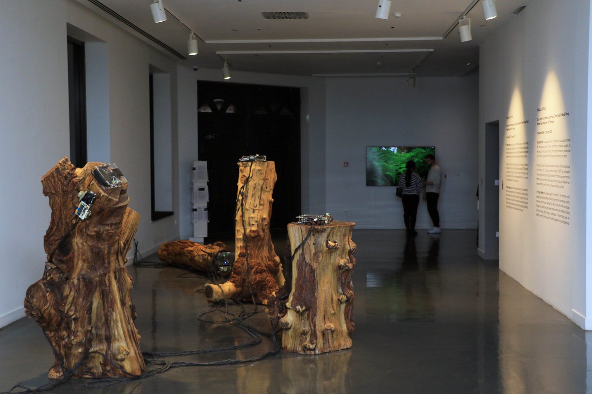 Xalqqazeti's tweet image. 🌐 #ParallelWorlds #exhibition - Fotoreportaj

#photo #photography #foto #sərgi #GazelliArtHouse