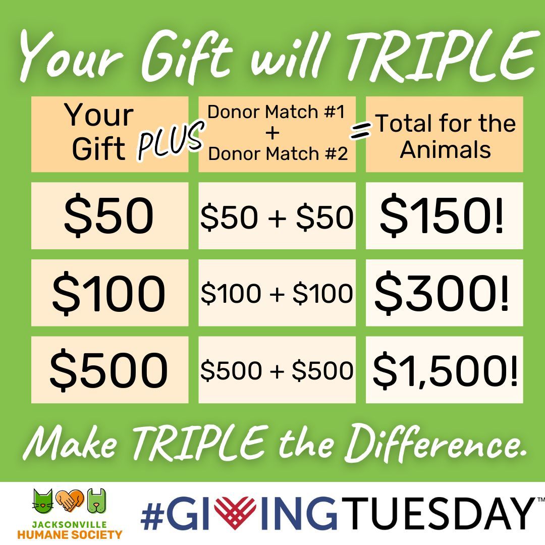 It's #GivingTuesday and gifts are being tripled! Did you know we can also accept crypto, stock, and donor-advised fund donations? Head to our website for one-click giving: buff.ly/4fKQPhG