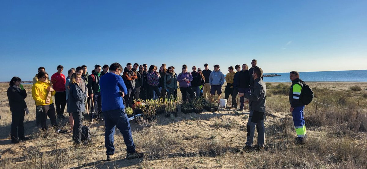 GVAcief's tweet photo. Una plantació molt especial en la Marjal de Rafalell i Vistabella...
1⃣Perquè l'equip de #FloraAmenaçada ha représ les plantacions després de la #DANA
2⃣I perquè era amb l'alumnat de la @CatarrojaEca molt afectats per les inundacions i fa pocs dies que han reprès l'activitat https://t.co/XAwF6SEWPr
