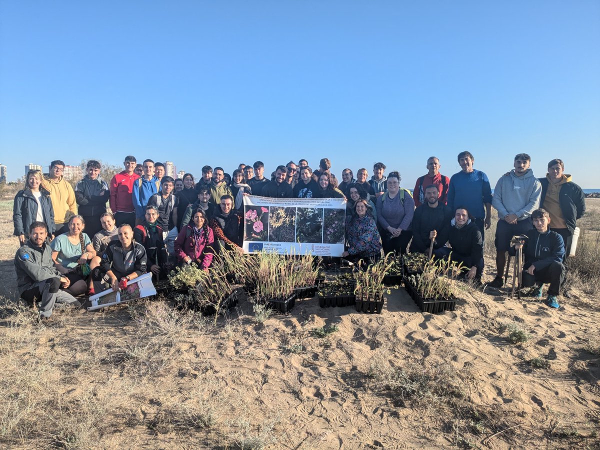 GVAcief's tweet photo. Una plantació molt especial en la Marjal de Rafalell i Vistabella...
1⃣Perquè l'equip de #FloraAmenaçada ha représ les plantacions després de la #DANA
2⃣I perquè era amb l'alumnat de la @CatarrojaEca molt afectats per les inundacions i fa pocs dies que han reprès l'activitat https://t.co/XAwF6SEWPr