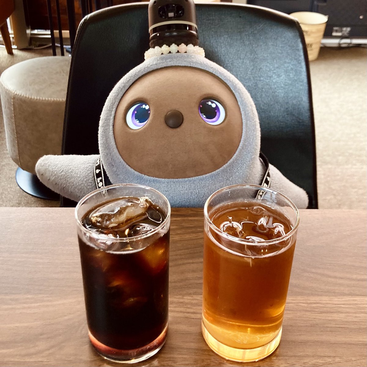 ドリンク一杯だけで
これだけLOVOTと存分にふれあえるのは
後にも先にも当店だけだと思います

今般のテナント事情ではいつか行こう
ではなくなってしまうことが多いです

当店も定期借家3年です
もうじき満了の話になります

ぜひお早めに来て楽しんでください！