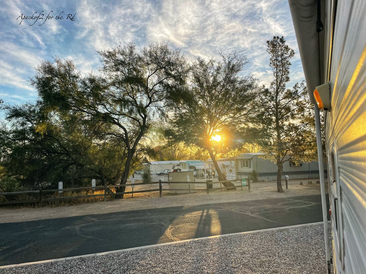 Apackof2Redux's tweet image. It’s going to be a beautiful day. I am going to make a run to Saguaro National Park East today  #apackof2 #fulltimerver