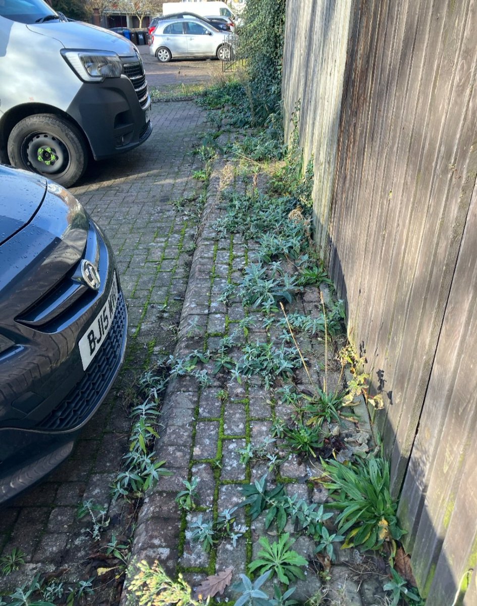 StavesGlyn's tweet photo. Street clean for  @YourGuinness sheffield today by people on probation. https://t.co/KJCSSr0VVg