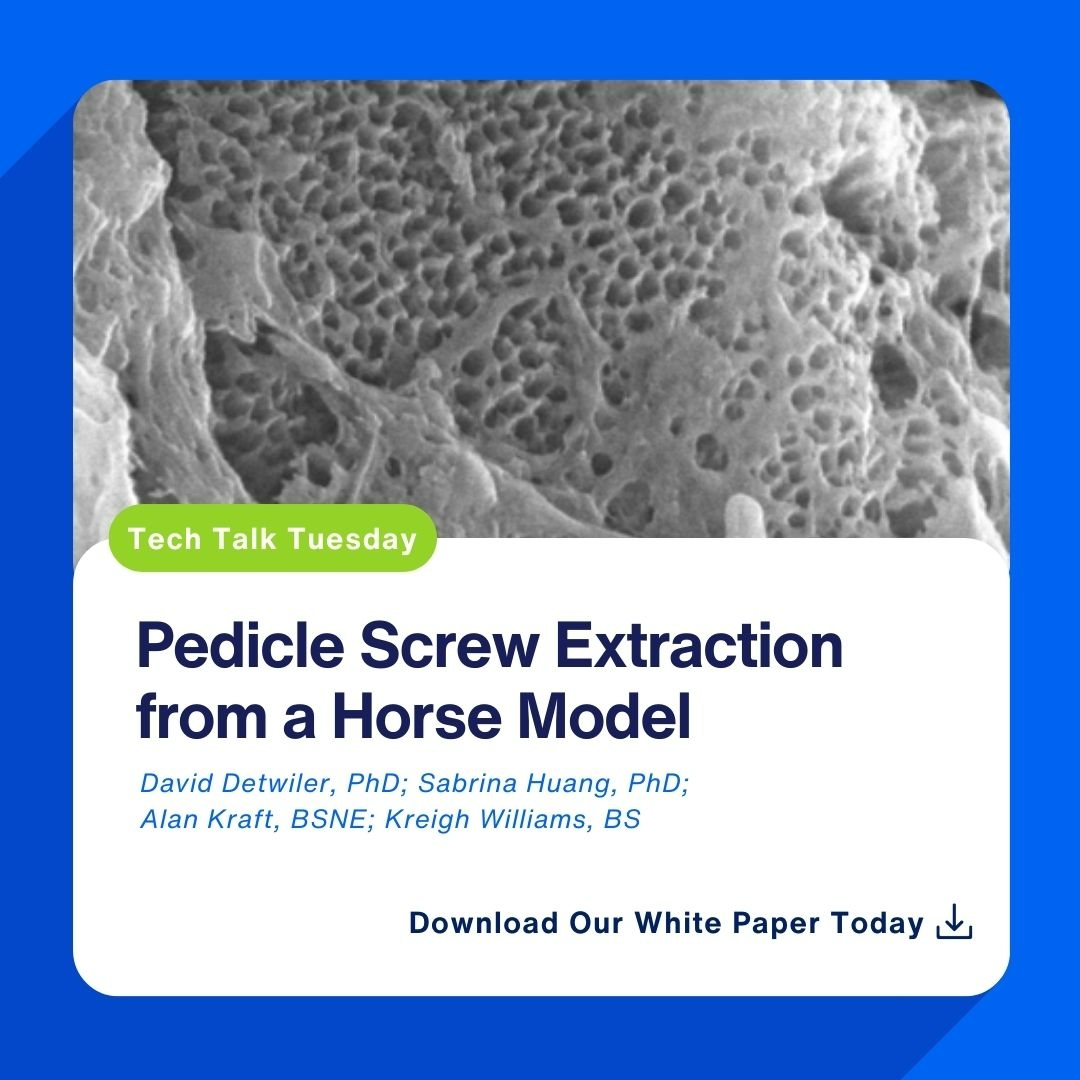 Nanovis's tweet photo. Can nanosurfaced screws provide breakthrough solutions for challenging extractions? Discover the results from our latest study on the removal of nanotube-treated pedicle screws in a dense bone model. Get the details of this innovative technology designed for enhanced fixation ... https://t.co/tt4978jLcJ