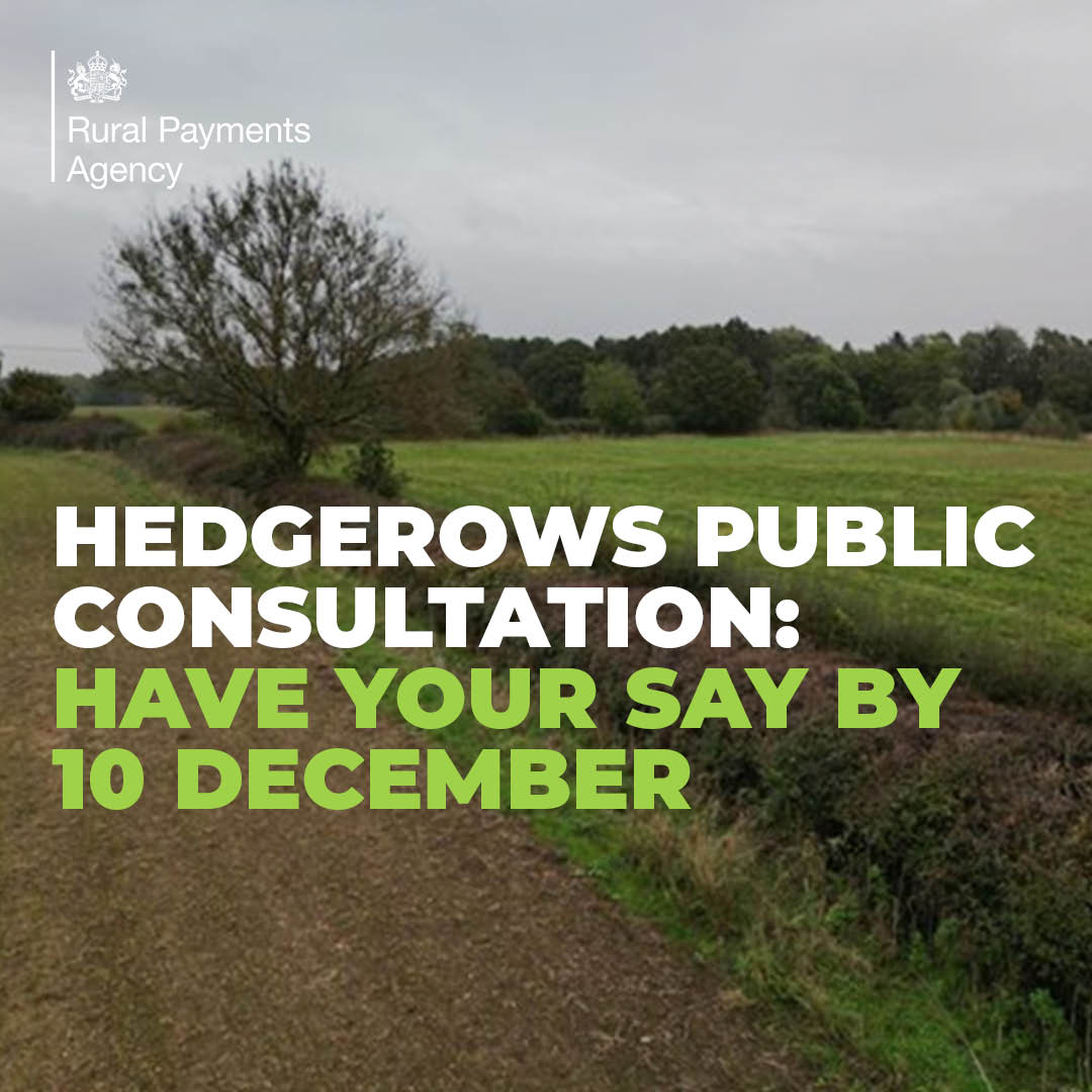 One week left to have your say. The public consultation on the regulatory approach and use of civil sanctions for the Management of Hedgerows (England) Regulations 2024 is still open until 10 December.  
 
Follow the link below to give us your views.
consult.defra.gov.uk/legal-standard…