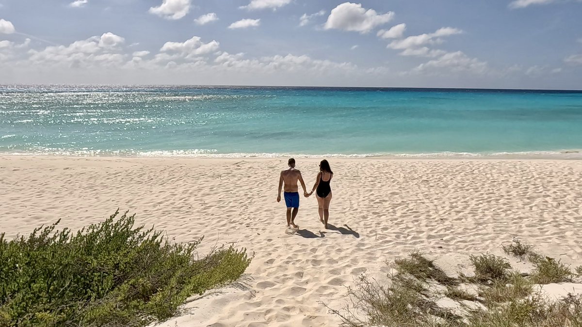 AndorreandoM's tweet photo. Sumamos país📍🌍➕126 #Venezuela 🇻🇪
Primeros días del viaje en el parque nacional archipiélago Los Roques 
.
Muy pronto todos los detalles en el blog de viajes 👉 https://t.co/atYaf8ZlTe https://t.co/0SU8g6i420