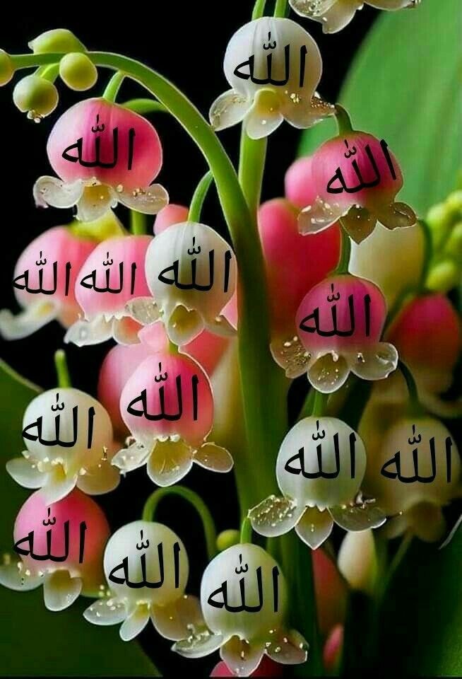 #P_PTi 🅰️  03
<a href="/MNPTi1/">𝙈𝙪𝙣𝙨𝙞𝙛 🫶 ابوسلم ≛⃝🔶</a>
<a href="/As_t40/">EriKaCao</a>
<a href="/Y22NY/">YASEEN</a>
<a href="/P_PTi4/">𝐍𝐨𝐬𝐡𝐞𝐞𝐧 𝐀𝐮𝐫𝐚𝐧𝐠𝐳𝐚𝐢𝐛 ‎ᵀᵉᵃᵐˢᵒᵏ</a>
<a href="/P_PTi3/">𝙈𝙪𝙣𝙨𝙞𝙁 𝐏𝐑𝐎𝐌𝐎𝐓𝐄𝐑</a>
<a href="/NM3k_/">⚛★ 🎀 𝒩𝐸𝐸𝒩𝒜𝐻 🎀 ★⚛</a>
<a href="/ik_553/">.⃝ ⃝ ⃝ ⃝ ⃝💛マスカン 𝐌𝐮𝐬𝐤𝐚𝐧💖. ⃝ ⃝ ⃝ ⃝ ⃝ ⃝💚</a>
<a href="/4_4mir/">Aamir Hayat Awan</a>
<a href="/Dni_40/">Daniyal</a>
@ARI2_1
<a href="/shz787/">🌟⭐️🌟🌟sʜᴀʜᴢᴀᴅ ᴍᴜɴɪʀ🌟⭐️🌟⭐️</a>
<a href="/nbea_h/">#𝕾𝖚𝖕𝖊𝖗𝕱𝖗𝖎𝖊𝖓𝖉𝖘 #𝕿𝖔𝖕𝕱𝖗𝖎𝖊𝖓𝖉𝖘</a>
<a href="/R1_Adv/">Ridwan R1🇮🇩</a>
💥@br6n_
💥<a href="/NM1k_/">༺ 💎𒆜𝑵𝑬𝑬𝑵𝑨𝑯𒆜💎 ༻</a>
💥<a href="/skiii7i/">S khan</a>
<a href="/Aa_ban1/">▄︻ #TmGriffins🦅︻▄</a>
<a href="/bashri_0/">Mubaشr💫</a>
<a href="/zimal293/">🦋𝐑ᴀsʜɪᴅᴀʜ🦋</a>
<a href="/qrat78741/">قراة العين🐦</a>
<a href="/zubm9231/">ZUBAIR Muhammad</a>
<a href="/kaptain369/">Kaptain Jan</a>
<a href="/CarloSportfan/">SportISmyLIFE ⚽⚾🏀🏐🏈🎾🎳🏏🏓⛳</a>
<a href="/LauraMi25356713/">Laura Miller</a>
<a href="/ShaguftaMansoo9/">Mrs.SM</a>
@00munsif  <a href="/Dni_40/">Daniyal</a>