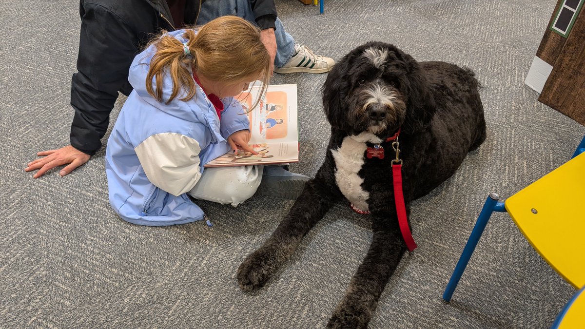 sussexcountylib's tweet photo. Meet Barney the Bernedoodle -- the latest addition to the Read to a Dog lineup at the Sussex-Wantage Branch in Wantage.
Visit our web calendar or call 973-875-3940 to see when he will be here next!
#ReadToADog #Libraries #WantageNJ #SussexCountyNJ #Literacy #Events https://t.co/vZGJnzUM7k