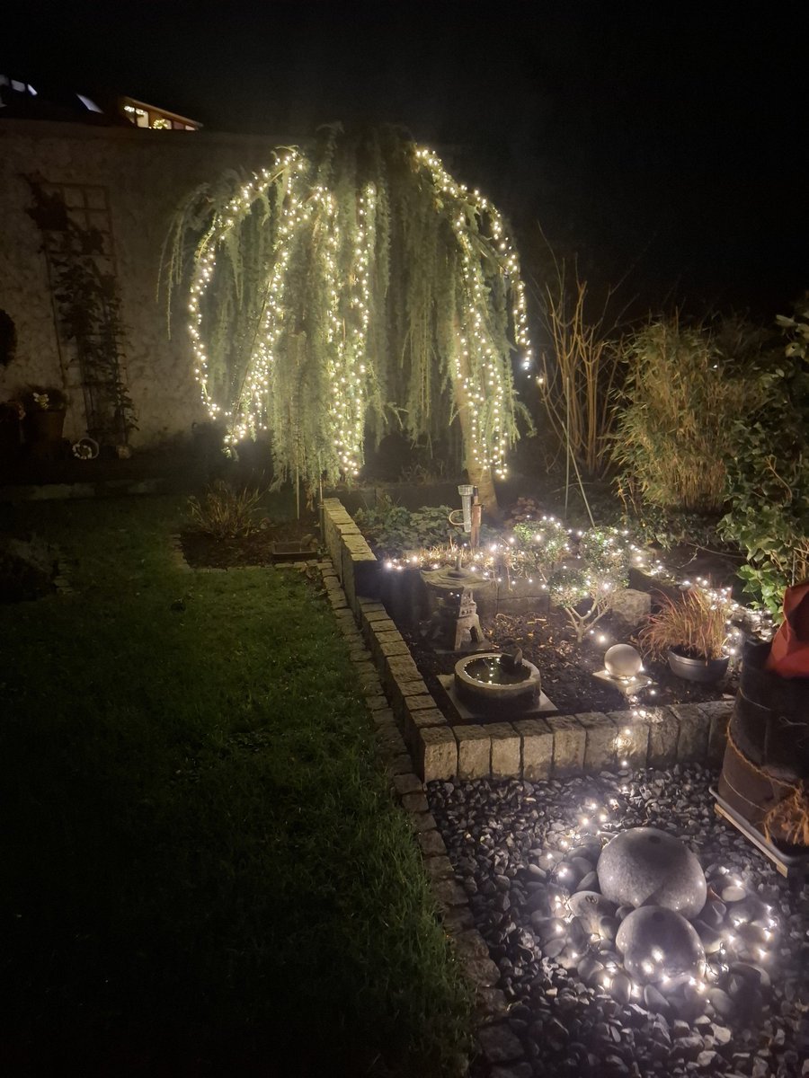 MF1985's tweet image. Alle Jahre wieder! Ihr seht es doch auch, oder...