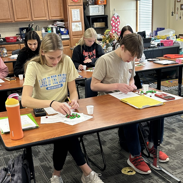 ThayerCentral's tweet photo. College Algebra using m&amp;ms to learn about exponential growth and decay. https://t.co/2uh1bYGV4x