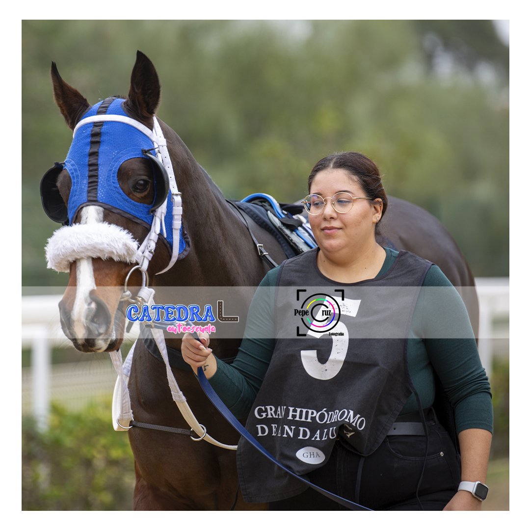 PepeCruz_Martin's tweet photo. ᴀʟᴇɢʀÍᴀ.
#fotografiadeportiva #horseracing #sportphotography #turf #carrerasdecaballos #mundodelcaballo #sevilla #sevillahoy #montequinto #doshermanas https://t.co/FmWjQWtbKI