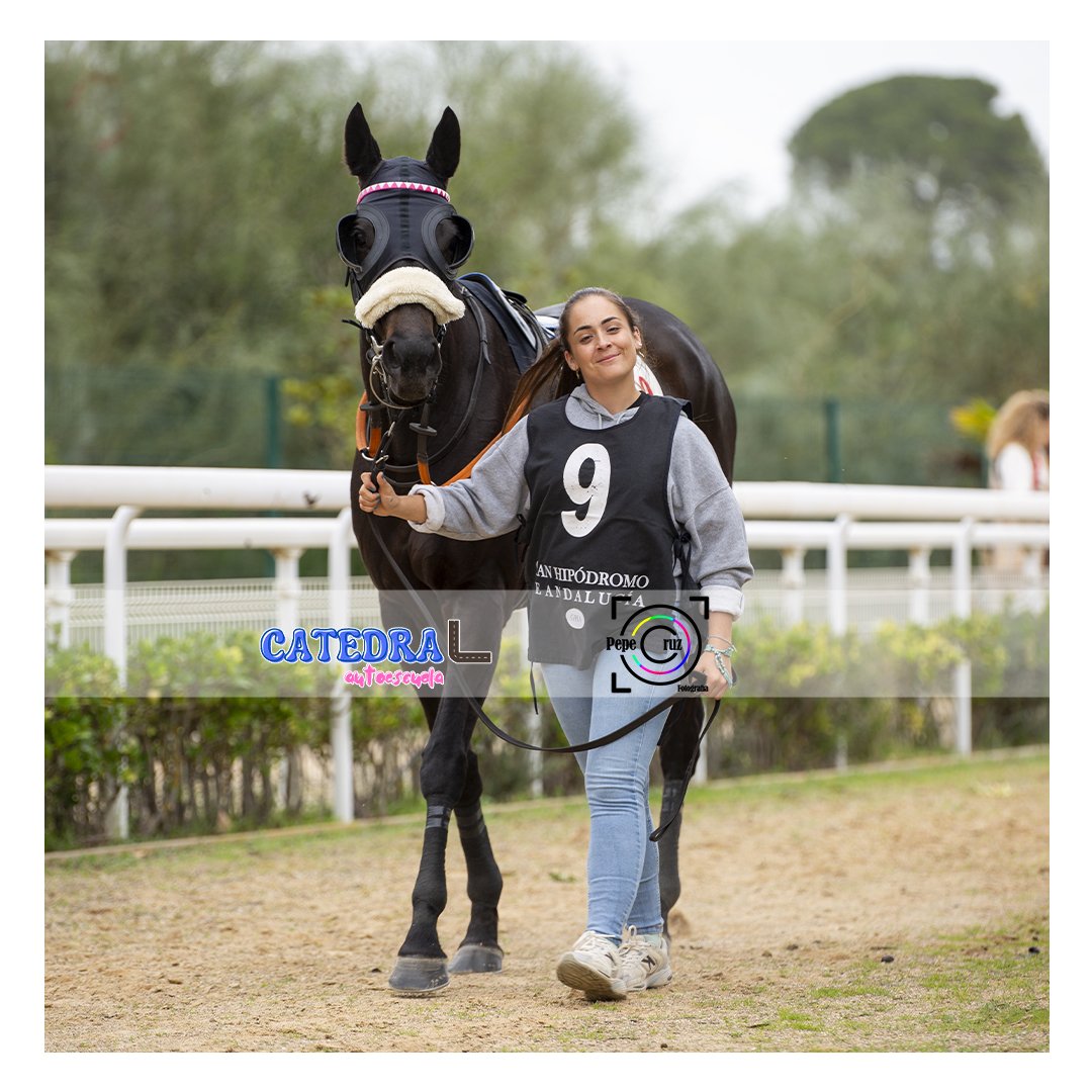 PepeCruz_Martin's tweet photo. ᴀʟᴇɢʀÍᴀ.
#fotografiadeportiva #horseracing #sportphotography #turf #carrerasdecaballos #mundodelcaballo #sevilla #sevillahoy #montequinto #doshermanas https://t.co/FmWjQWtbKI