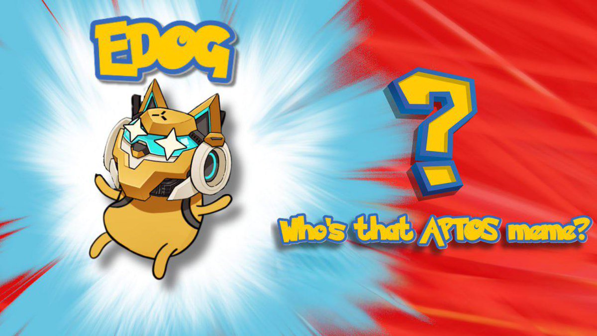 macn cat tweet media