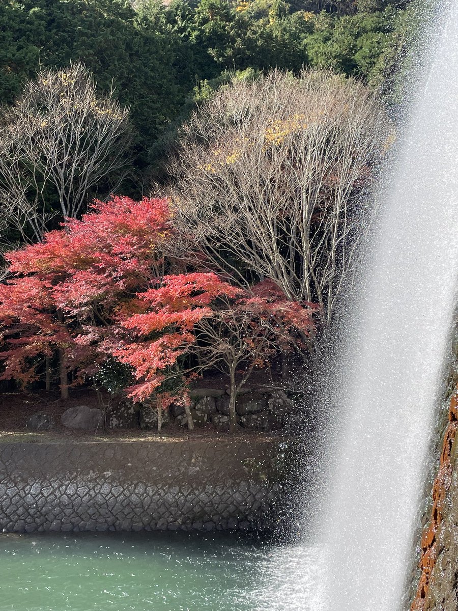 ma0126m's tweet photo. 紅葉🍁と水しぶき! https://t.co/HfS8HdiGZv