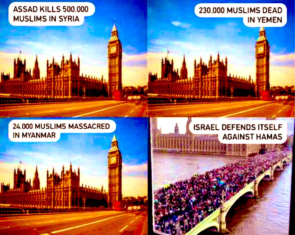 Liza Rosen (@lizarosen0000) on Twitter photo The pro-Palestinians in the west don’t care about the Palestinians when they can’t blame the Jews.
This is why they didn’t protest for a ceasefire when people were killed in Syria, Iraq, Yemen etc.
Please follow both me and <a href="/YossiBenYakar/">Yossi BenYakar</a> if you support Israel! The pro-Palestinians in the west don’t care about the Palestinians when they can’t blame the Jews.
This is why they didn’t protest for a ceasefire when people were killed in Syria, Iraq, Yemen etc.
Please follow both me and <a href="/YossiBenYakar/">Yossi BenYakar</a> if you support Israel!