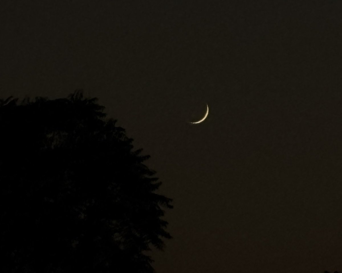 zeeaurav's tweet photo. new moon https://t.co/bhLfgldQt9