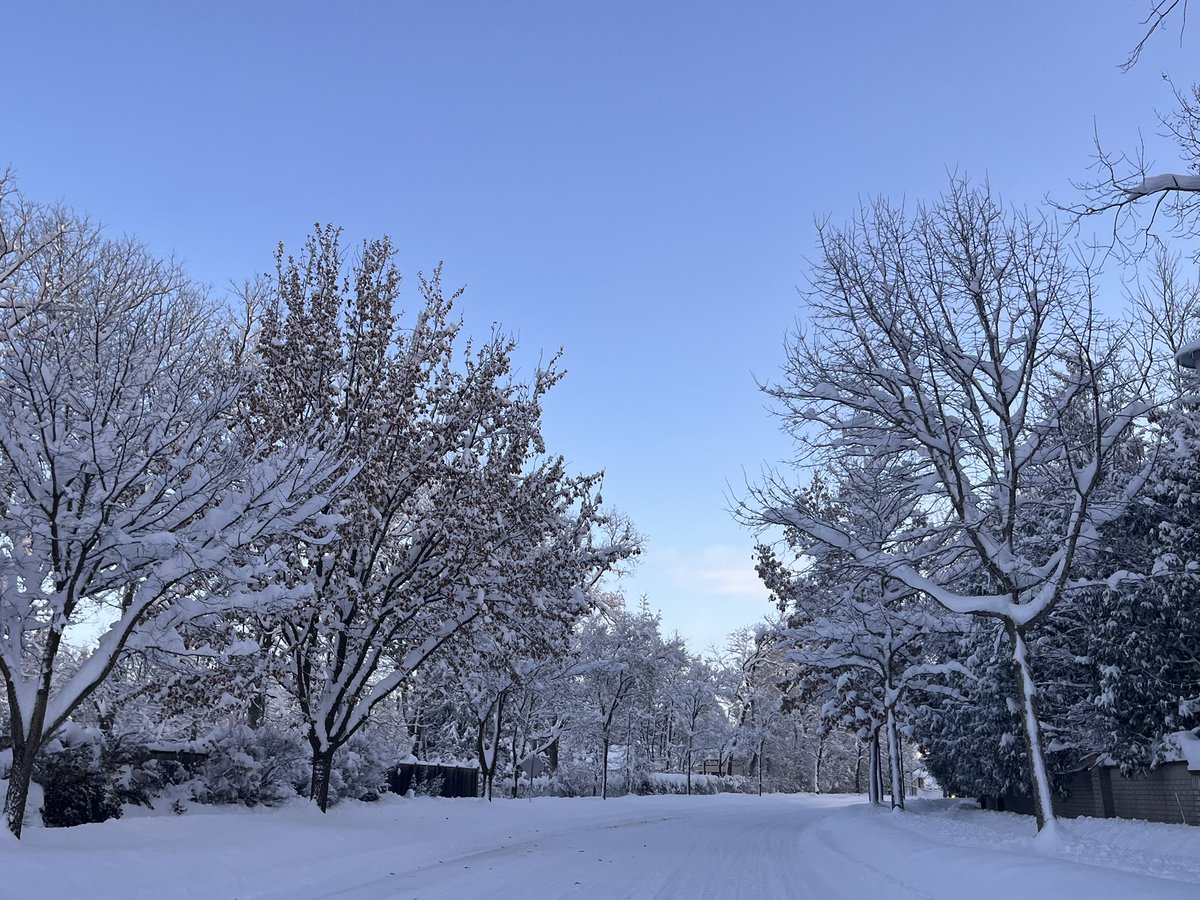 Marta Wilejto tweet media