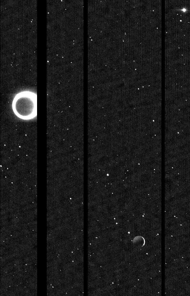 landru79 Jacint Roger tweet media