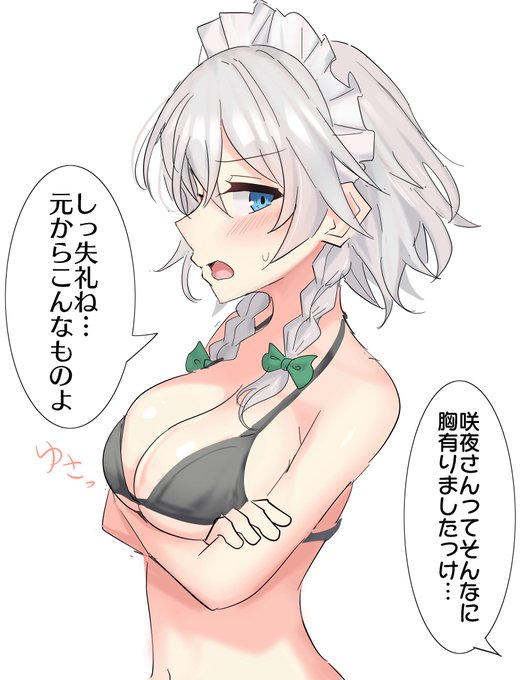 多分盛ってる咲夜さん 