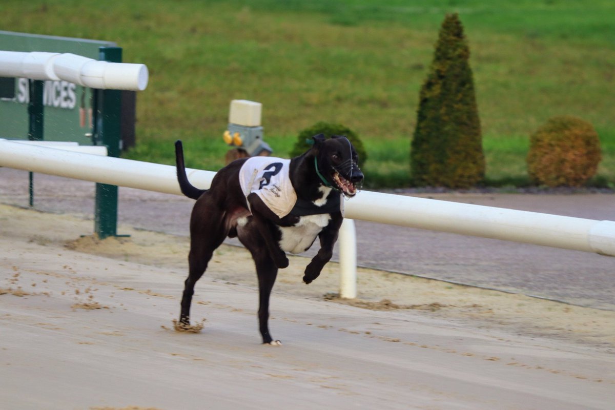Monmore Green Stadium tweet media