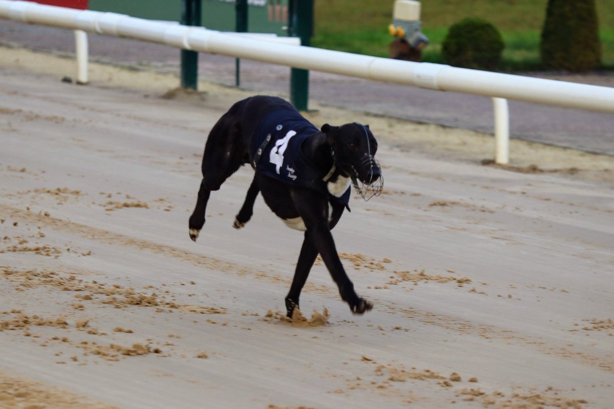 Monmore Green Stadium tweet media