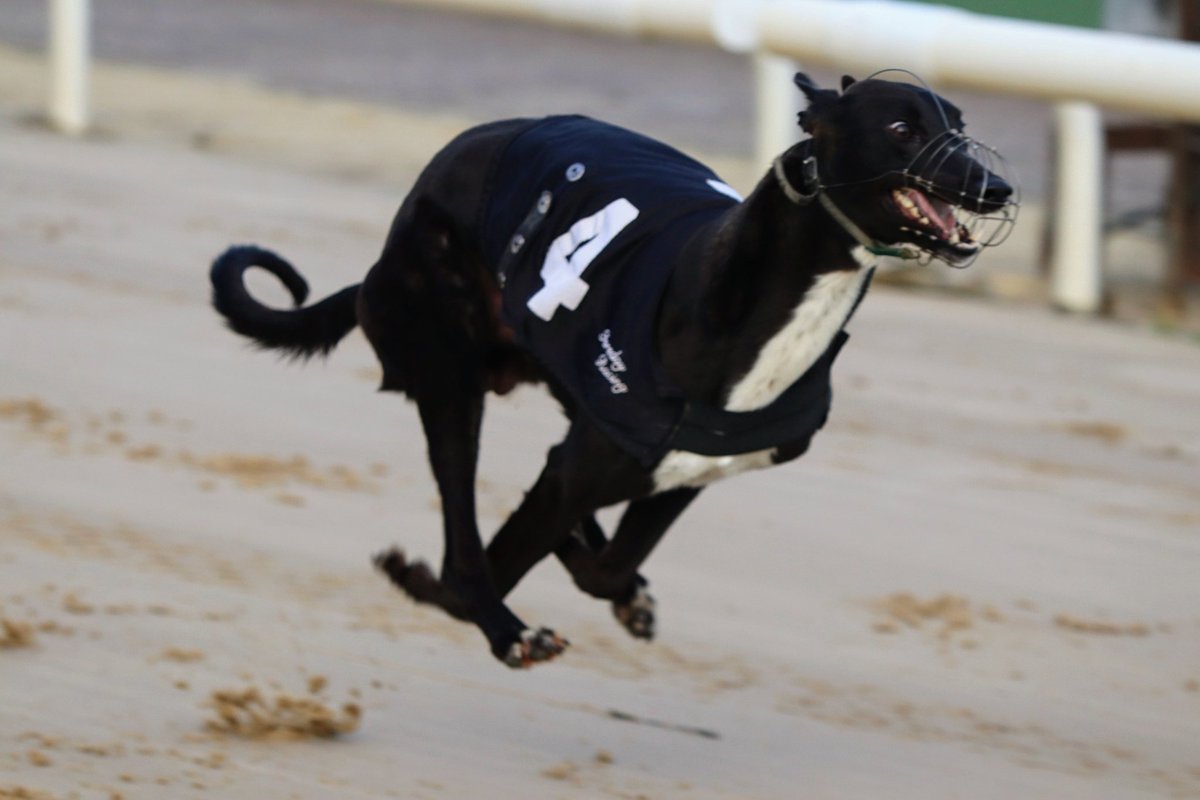 Monmore Green Stadium tweet media