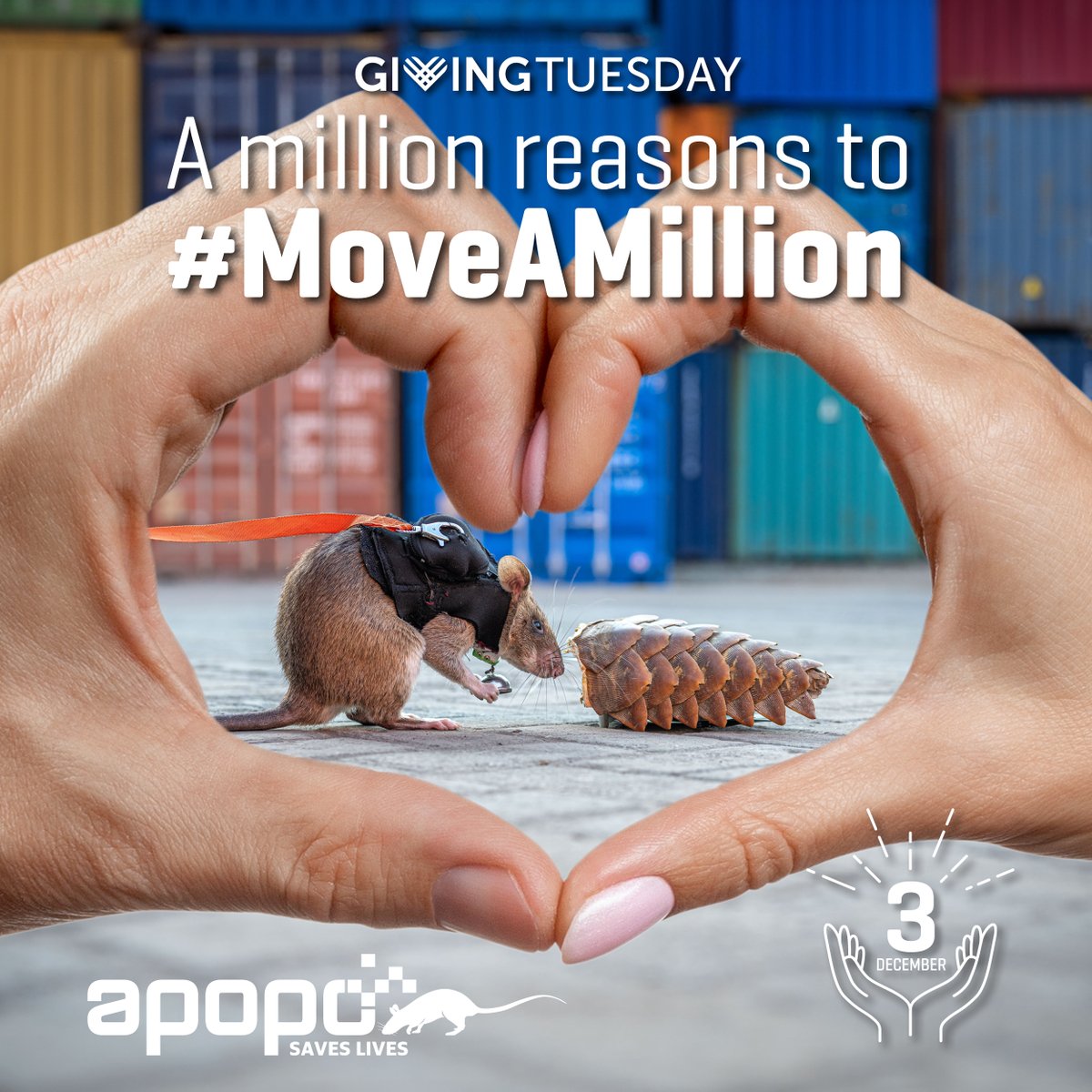 herorats's tweet photo. #GivingTuesday donations made to #APOPO will be matched at no extra cost to you. The more donations, the more match funding is unlocked. Help us reach our goal of $45,000 to support our animals &amp; the crucial work they do: https://t.co/7K1t8bMNw3 #unleashgenerosity #moveamillion https://t.co/uknWJ6PnOm