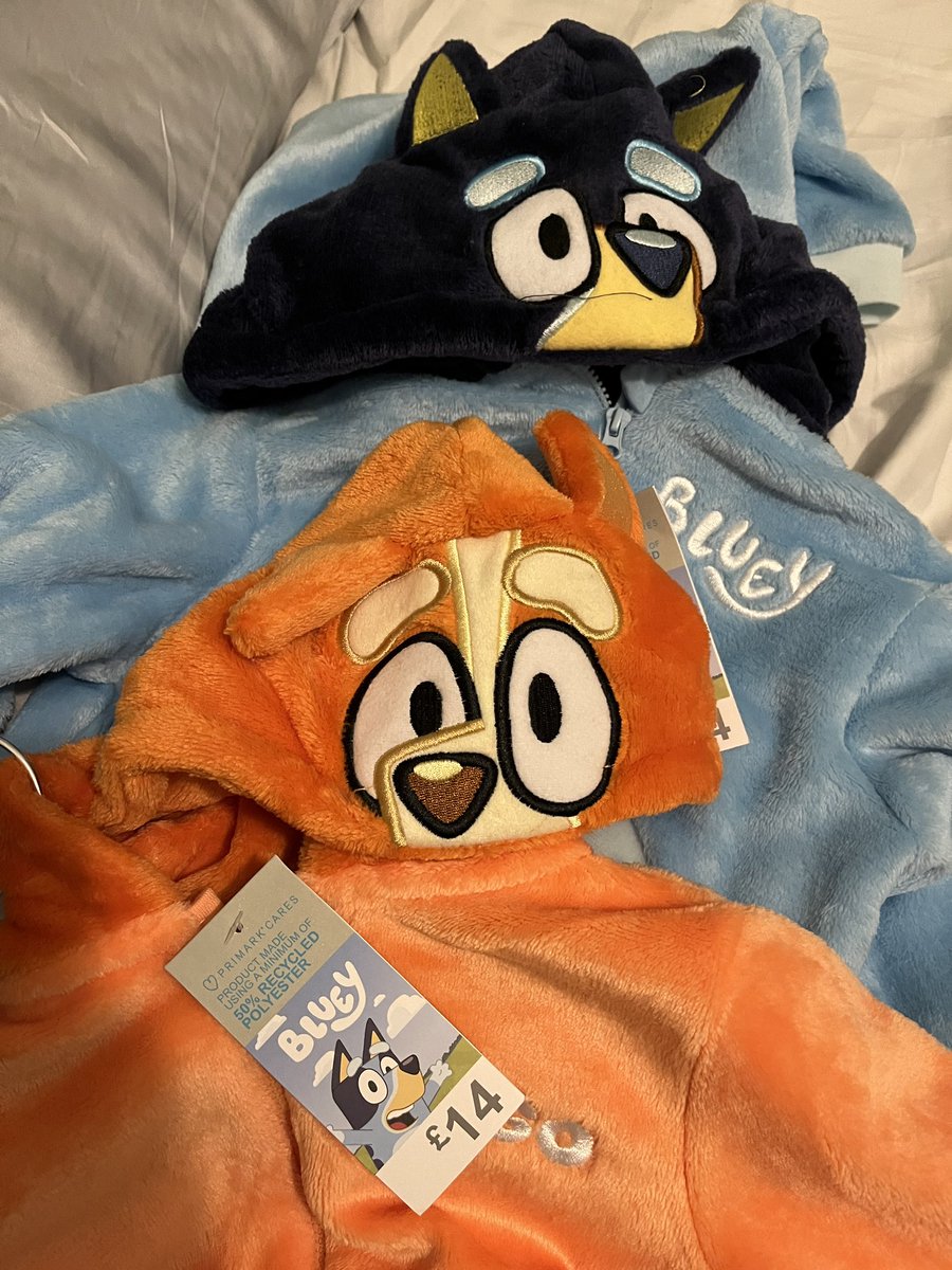 JillD86's tweet photo. I’m expecting a lot of godparent points for these #bluey https://t.co/GQo31xe5oh