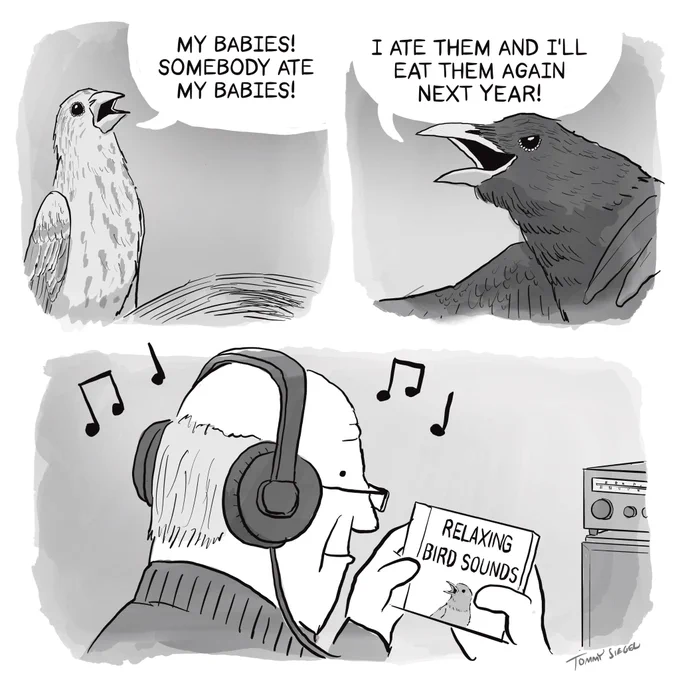 a thread of some of my dumbest bird-related comics of late 