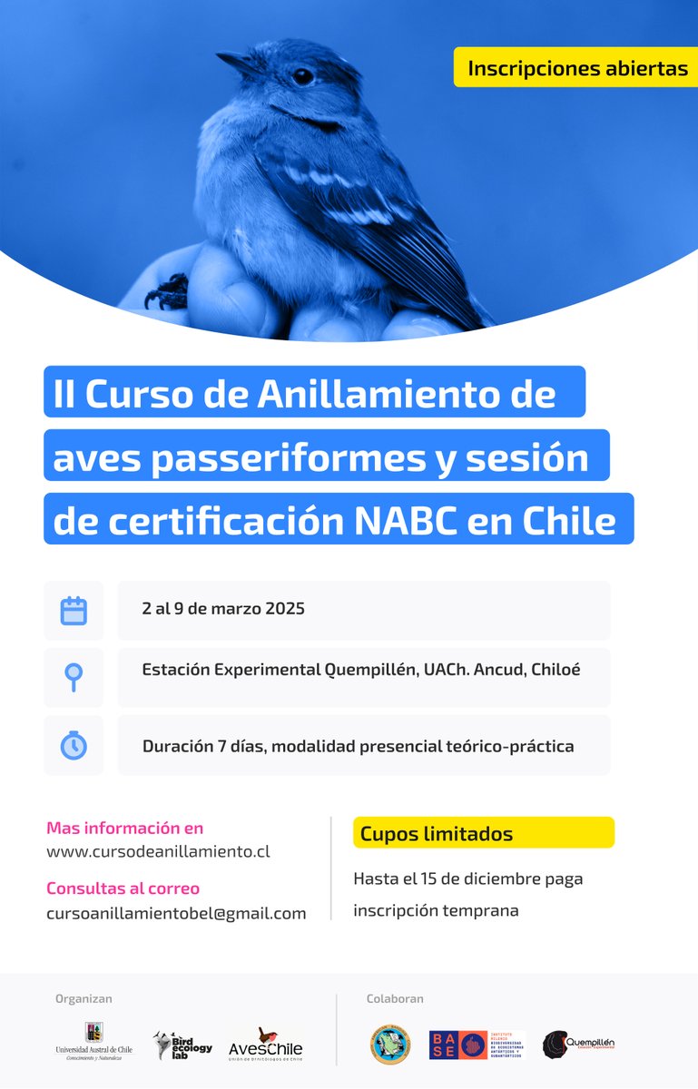 birdecologylab tweet media