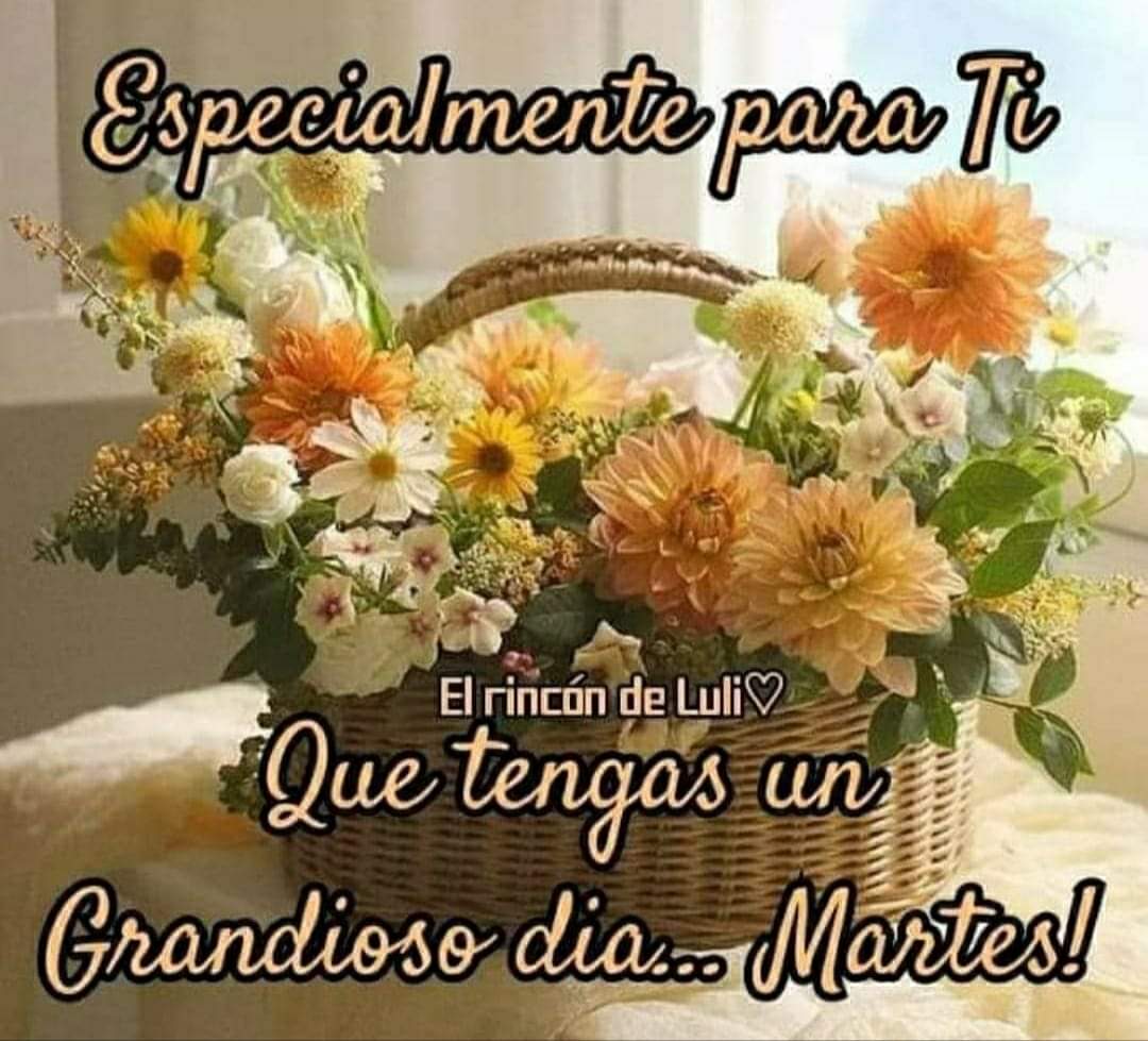 mcmarlyncris's tweet photo. @BlindadoGrupo1 #GRUPO🔝❤️
3/12 @mrosa2796 @robahiana @P_BlackSheep5 @RobyLentini @MaraElenaFernn6 @ElenaPe53016873 @soyelena2 @Elvio_bono @Republica_naOK @ArielSqueff1977 @Casarrubia @OTrade27747 @Trumperizar @IonnaNorma @iorsh78 @hipocampo49 @mavica7 @kloskloster @AntiKKsFull https://t.co/o4J1KYopdG