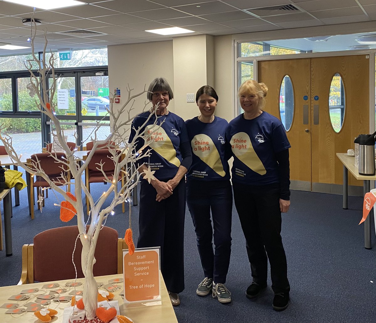 Jules Lewis RGN MSc 💙🦢 tweet media