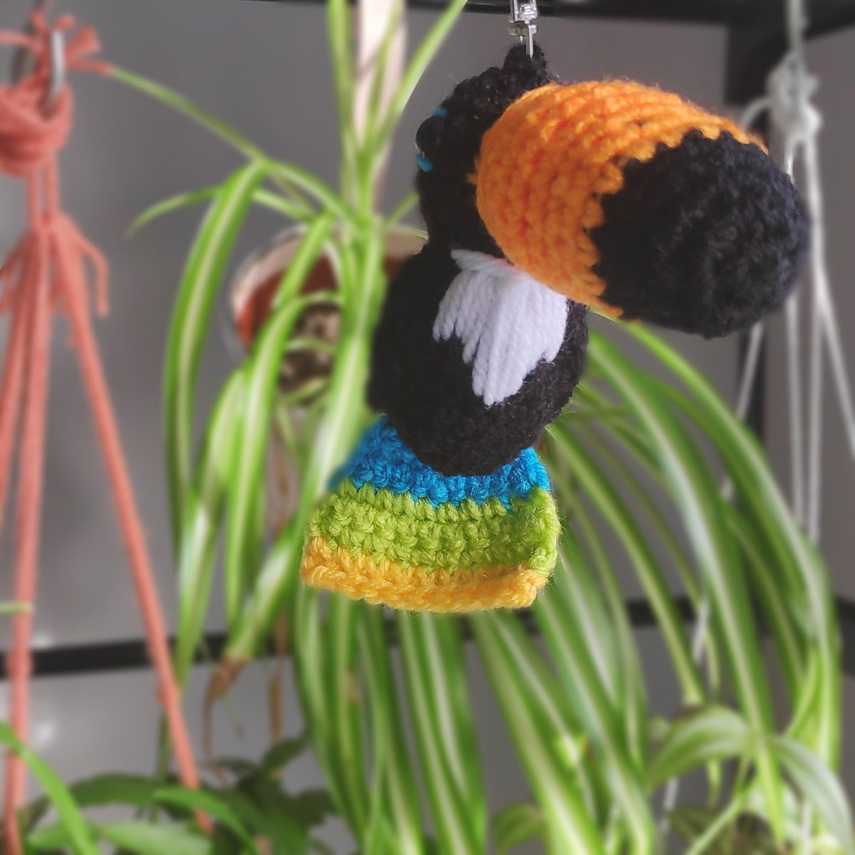 Amy Harrington tweet media