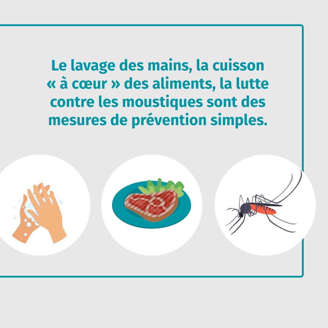 La prévention des maladies chez les animaux protège leur bien-être. Elle protège aussi notre propre santé !
Une zoonose est une maladie qui peut se propager des animaux aux humains. 
Consultez notre fiche pratique pour en savoir plus : veterinaire.fr/je-suis-propri… #animal #vétérinaire