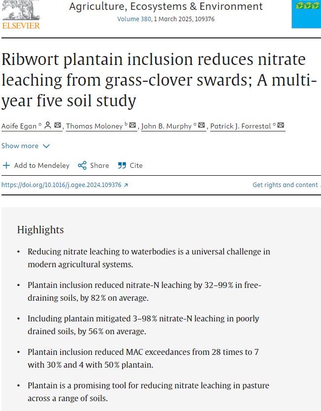 Very promising effects of Plantain inclusion in pasture on nitrate leaching from <a href="/TeagascEnviron/">Teagasc Environment</a> <a href="/ForrestalPJ/">Dr. Patrick Forrestal</a> study. 
Another tool in our box to improve #WaterQuality <a href="/WatersProgramme/">Local Authority Waters Programme</a> <a href="/DairySusIreland/">Dairy Sustainability Ireland 🐮💧🌱</a>