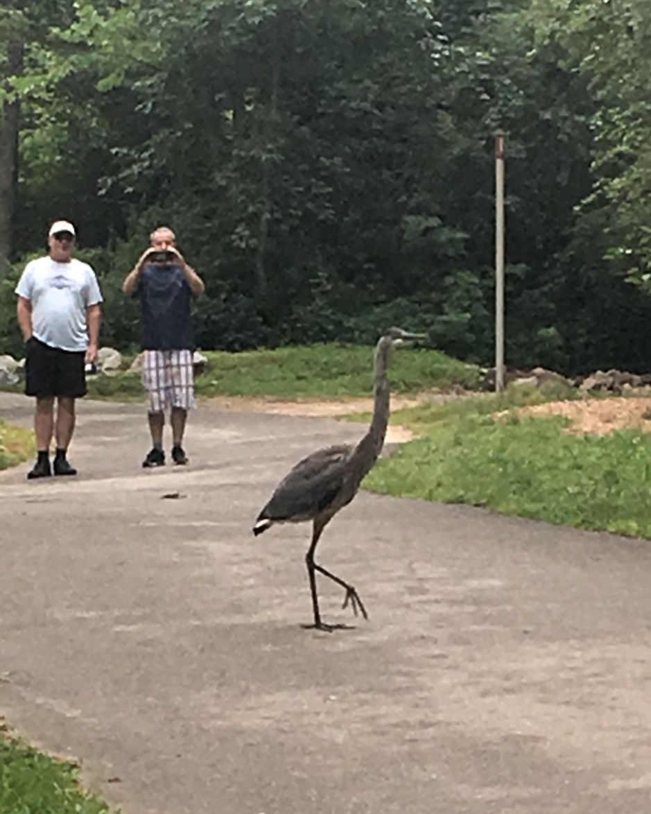 Run, don't walk, to make your Giving Tuesday gift today! Check out all the ways the City of Oaks Foundation can benefit YOUR neighborhood park or recreation program. Support nature programs, youth programs or any Raleigh Park! zurl.co/xgoD