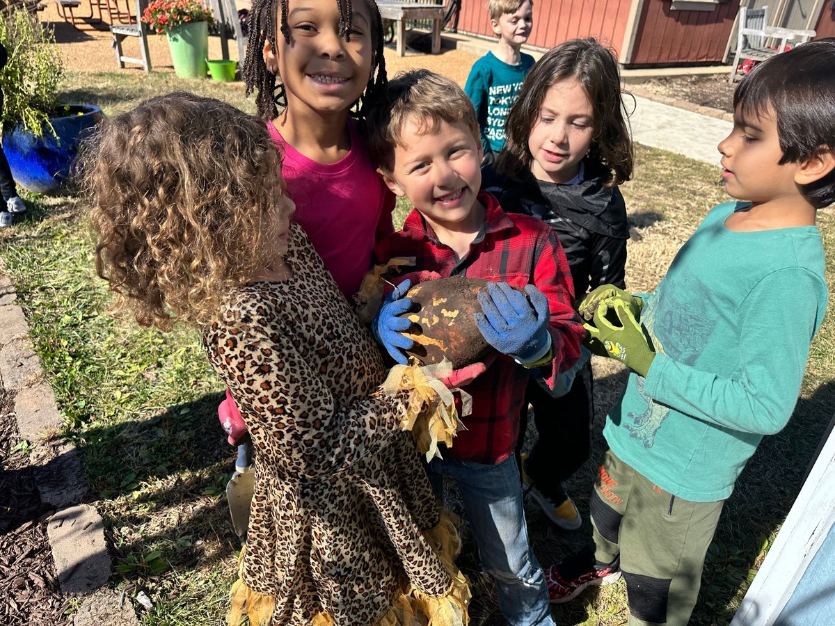 Seed St. Louis tweet media