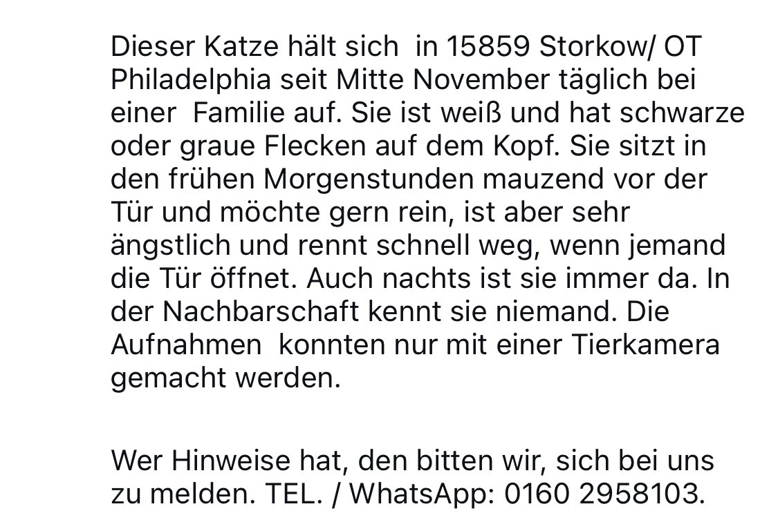 Katzenland_eV's tweet photo. Wer kennt diese Katze aus Storkow|Philadelphia? #Fundkatze #Tierschutz #Storkow https://t.co/4LkJkyuyWG