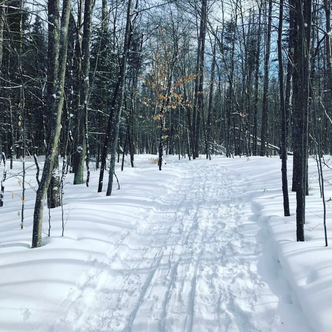 GoCottage's tweet image. Simply the best views!  

Book before they are gone - go-cottage.com/reservations/
-
-
#LakePlacid #LakePlacidVacation #GOCottage #NewYork #NYVacationRentals #Cabins #Getawaytrip #Wintergetaway #NewYorkCabins 
#NYWinterVacation #Cottage #HomeSweetHome #Home #Vacations