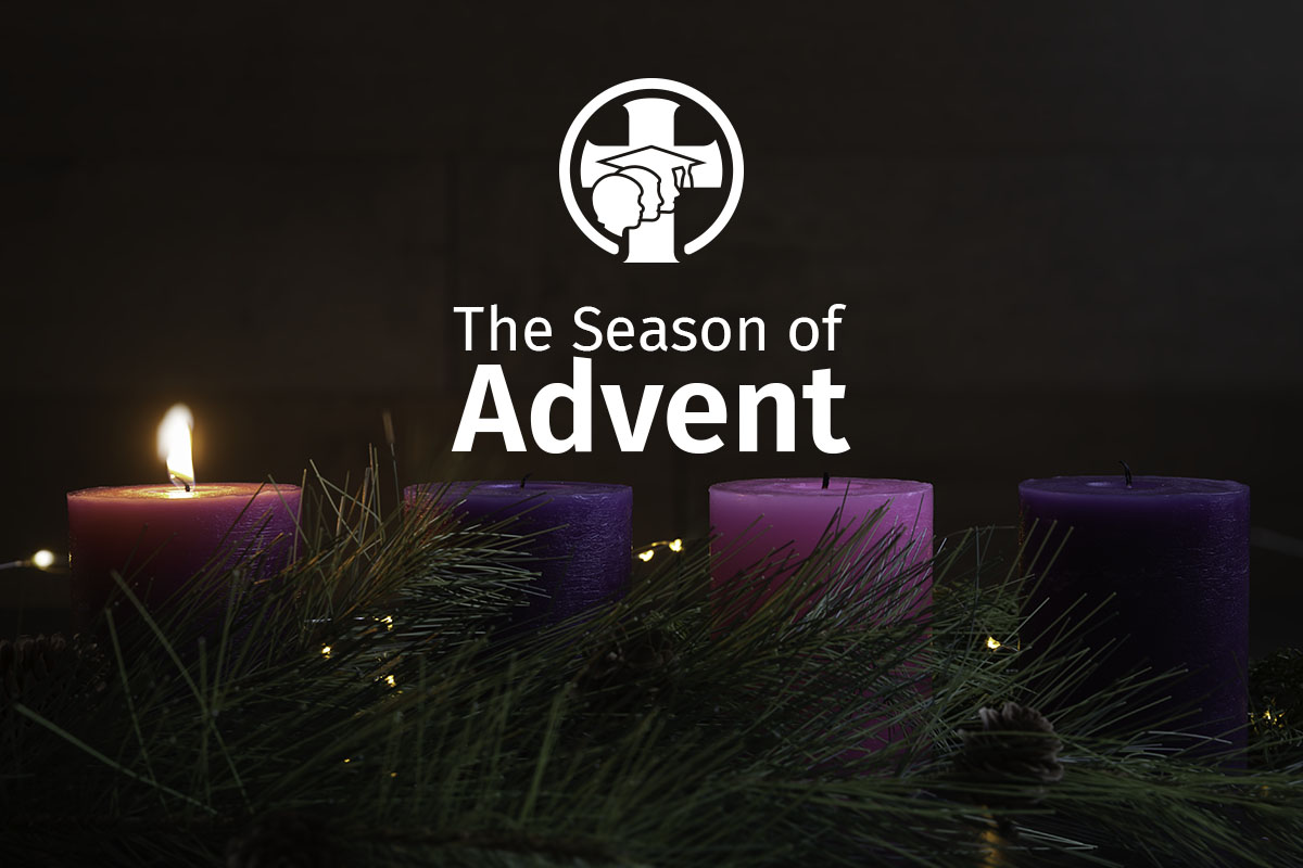 Advent has begun—a season of hope, peace, joy, and love. Let’s #wcdsbIgnite our hearts and minds as we journey towards the light of Christ this Christmas. 🌟🕯️