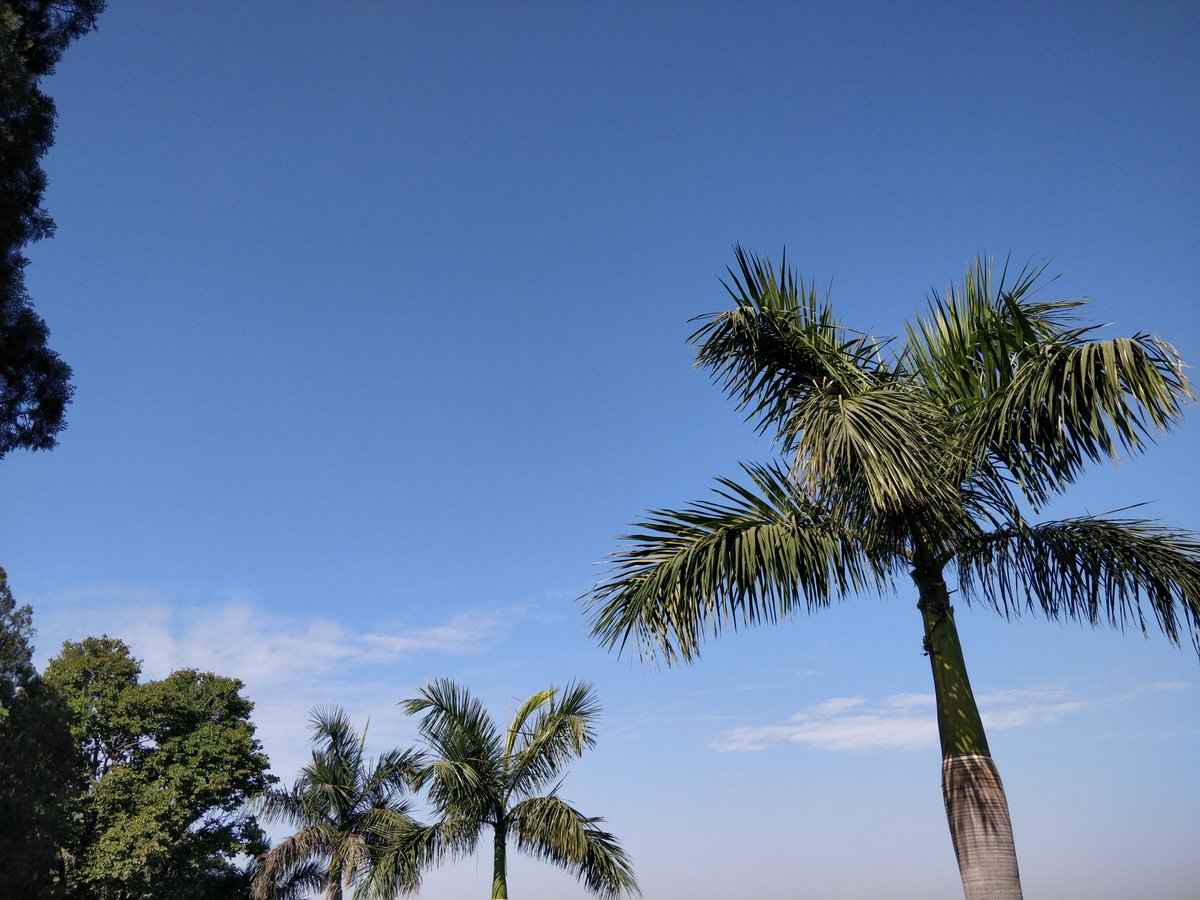 divyaasrisri's tweet photo. D ☘︎ clicks, Today
#NaturePhotography
#gardenersworld
#photography
#photooftheday
#photographers
#naturelovers
#garden #nature
#NatureBeauty
#GardeningX
#tuesdayvibe
#Trending
#SimpleFeelings https://t.co/YjErsGy0PH